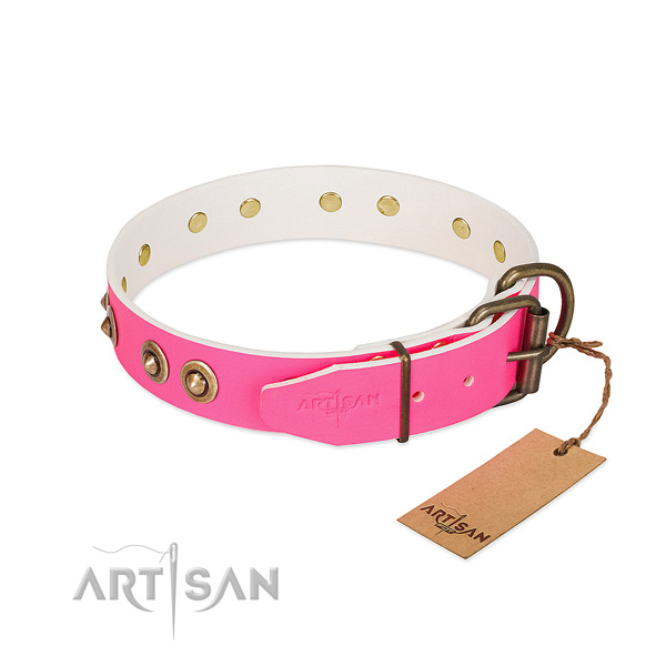 Leather dog collar with corrosion resistant buckle and decorations