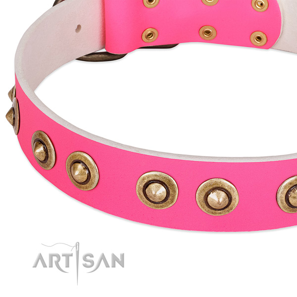 Reliable D-ring on natural genuine leather dog collar for your canine