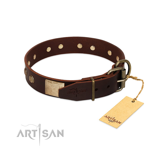 Corrosion resistant adornments on easy wearing dog collar