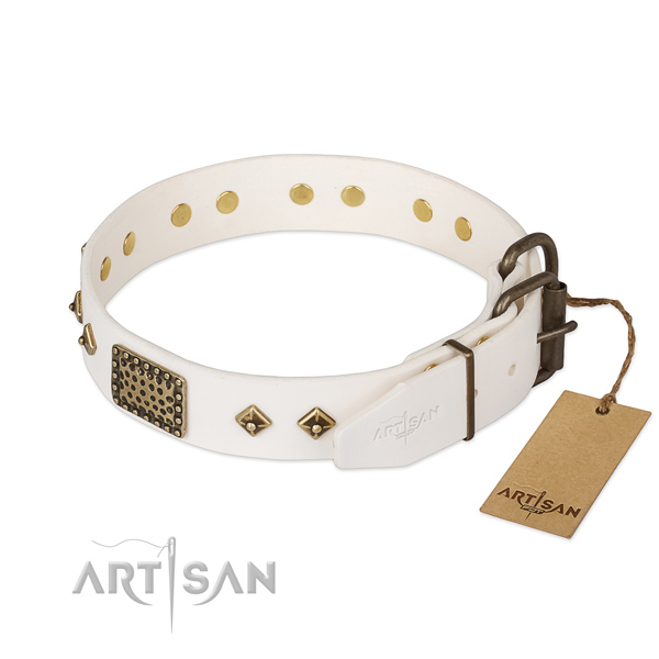 Leather dog collar with rust resistant hardware and embellishments
