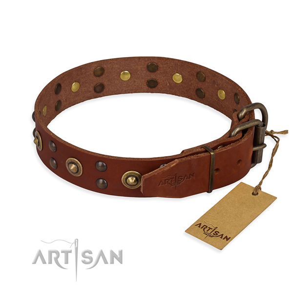 Reliable hardware on genuine leather collar for your attractive canine