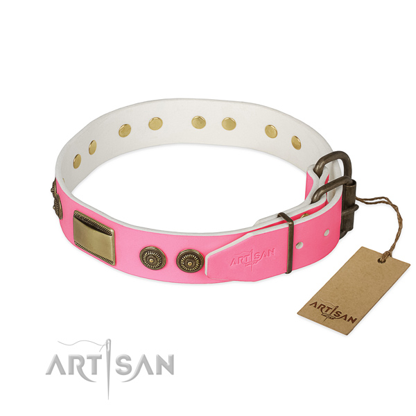 Rust resistant embellishments on daily use dog collar