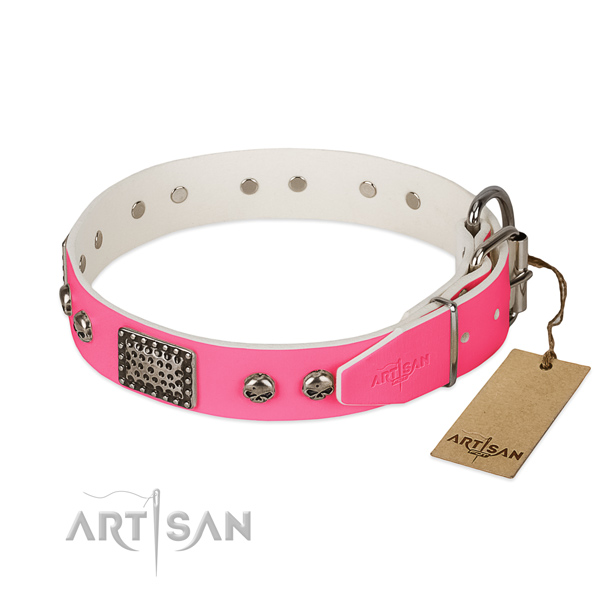 Rust-proof traditional buckle on daily use dog collar