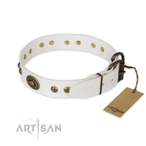 Strong traditional buckle on full grain genuine leather collar for walking your four-legged friend
