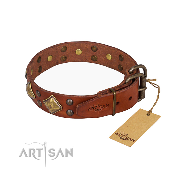 Natural leather dog collar with stylish reliable adornments