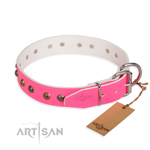 Full grain natural leather dog collar with impressive durable adornments