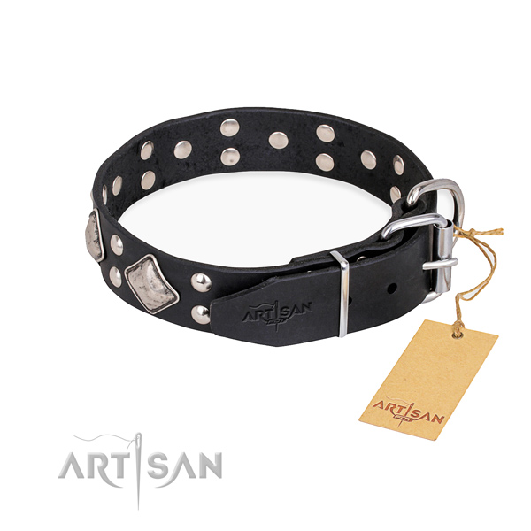 Full grain natural leather dog collar with impressive durable adornments