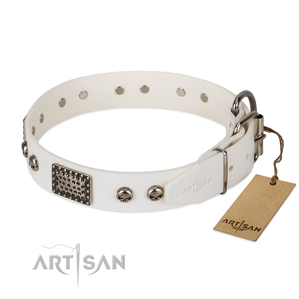 Reliable traditional buckle on comfortable wearing dog collar