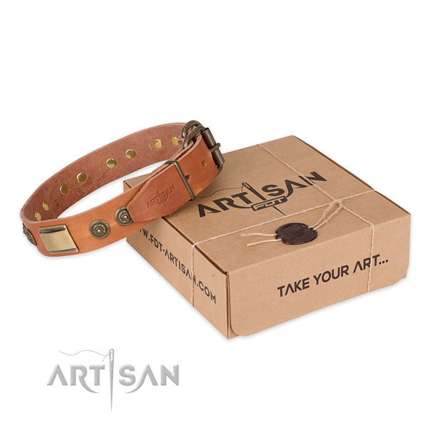 Rust-proof fittings on leather dog collar for everyday use