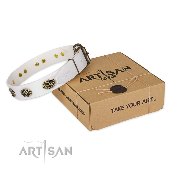 Corrosion resistant D-ring on full grain natural leather dog collar for handy use