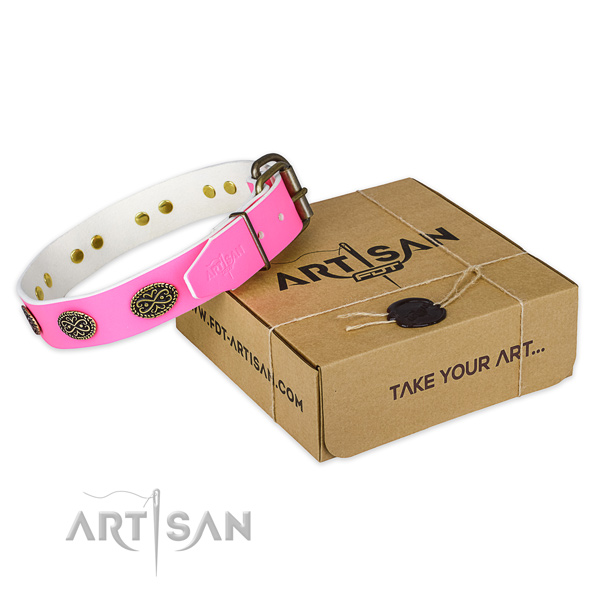 Studded leather dog collar for daily use