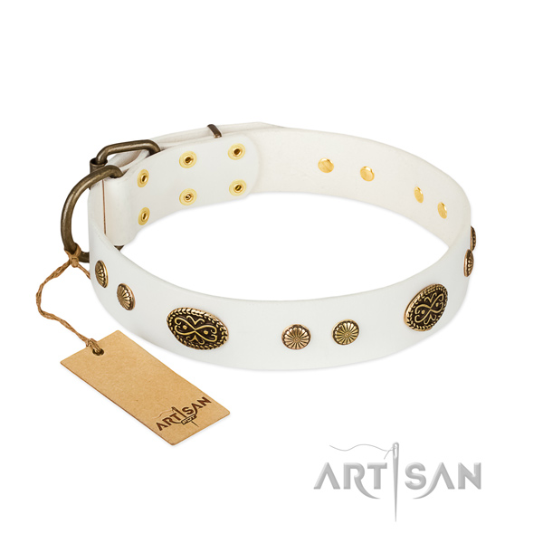 Rust-proof adornments on full grain leather dog collar for your pet