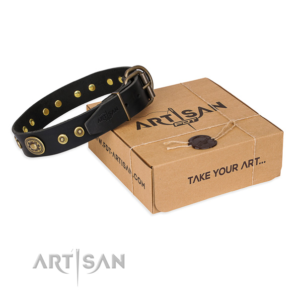 Full grain natural leather dog collar made of soft to touch material with rust-proof traditional buckle