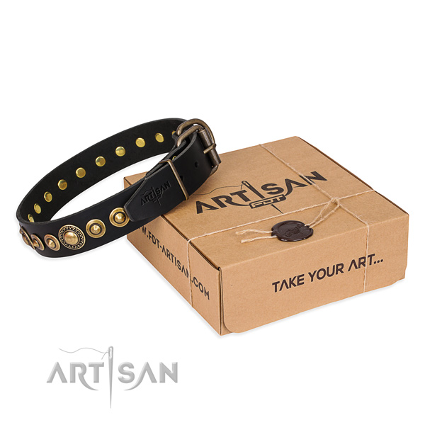 Best quality full grain leather dog collar crafted for daily use