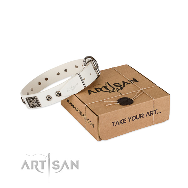 Corrosion resistant embellishments on dog collar for everyday use