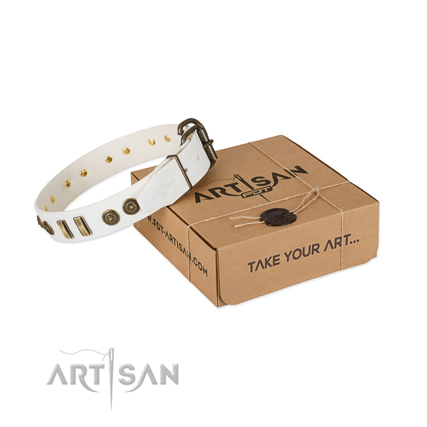 Corrosion proof traditional buckle on leather dog collar for your dog