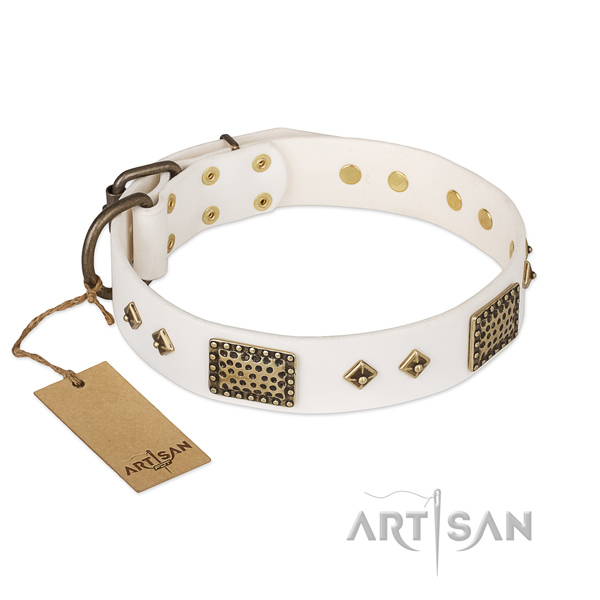 Easy wearing full grain natural leather dog collar for everyday use