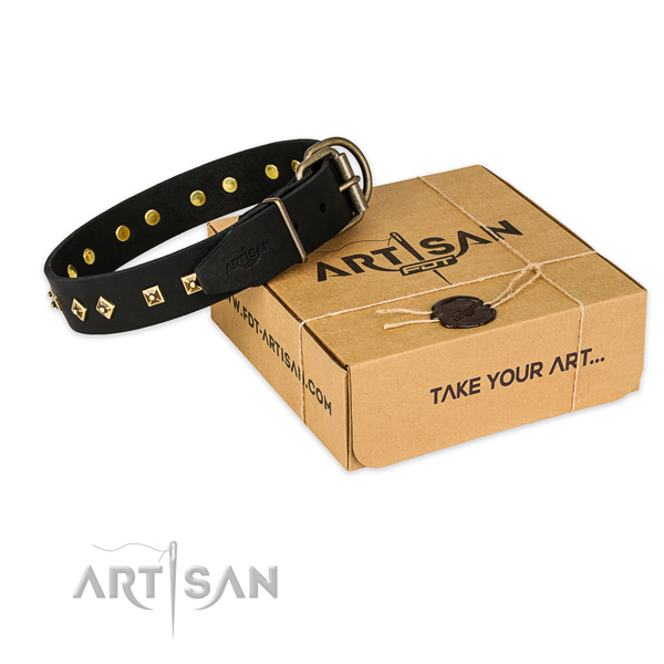 Corrosion resistant D-ring on full grain natural leather dog collar for handy use