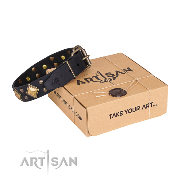 Comfortable wearing dog collar with Stylish design durable decorations