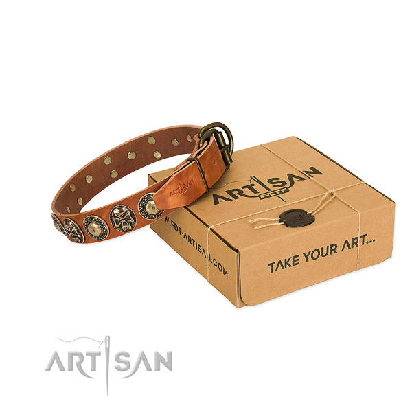 Corrosion proof buckle on dog collar for everyday walking