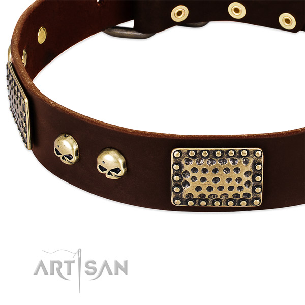 Rust resistant embellishments on full grain leather dog collar for your four-legged friend