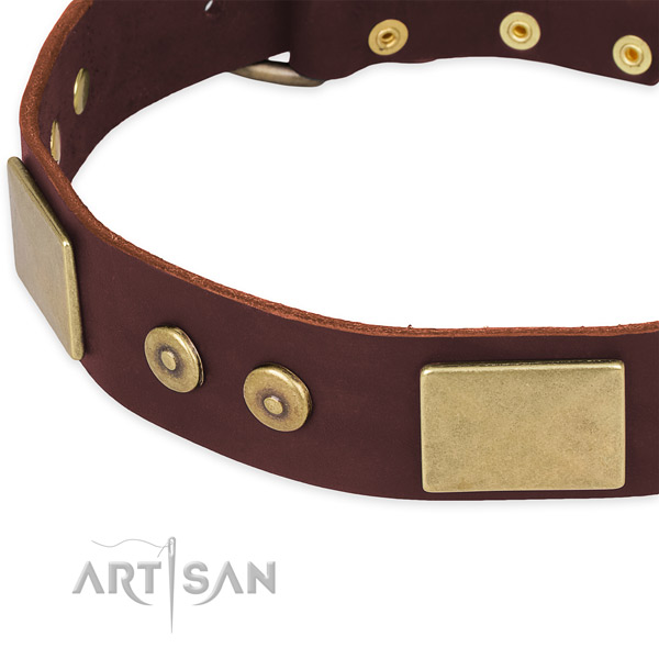 Full grain leather dog collar with studs for comfy wearing