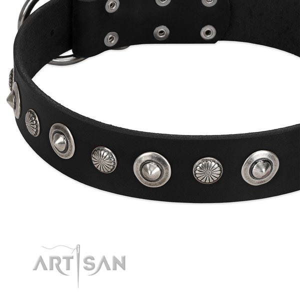 Unique studded dog collar of strong full grain genuine leather