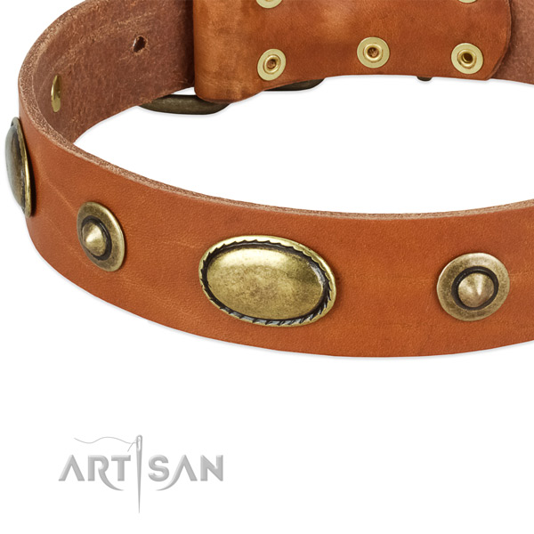 Corrosion proof adornments on full grain genuine leather dog collar for your doggie