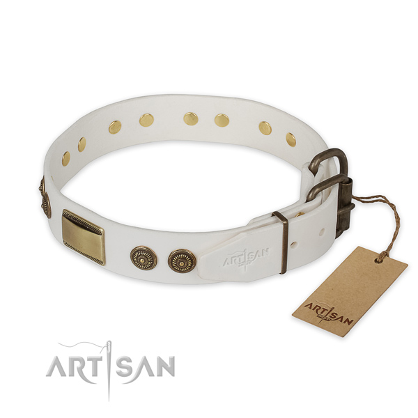 Corrosion resistant fittings on natural genuine leather collar for fancy walking your doggie