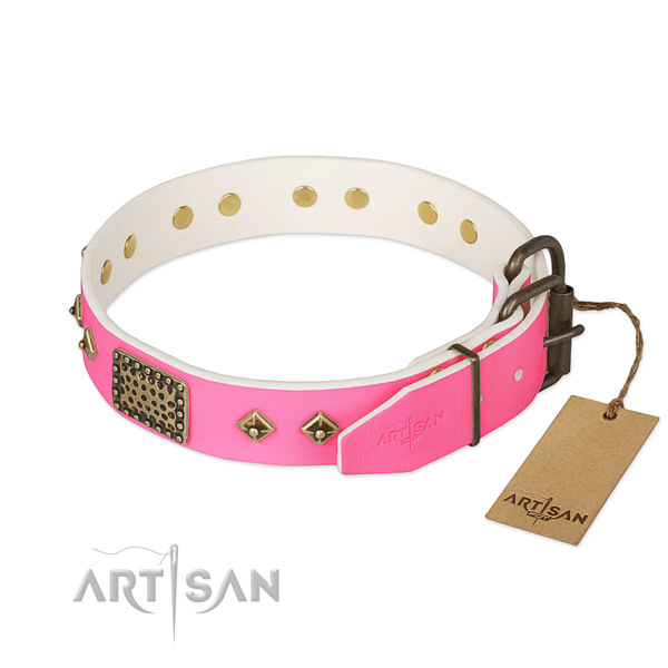 Corrosion resistant adornments on comfy wearing dog collar