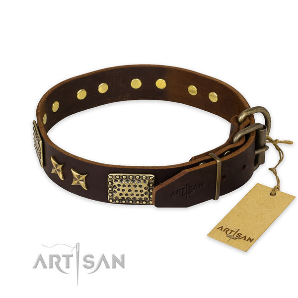 Strong traditional buckle on genuine leather collar for your beautiful doggie