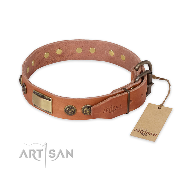 Rust-proof fittings on genuine leather collar for fancy walking your canine