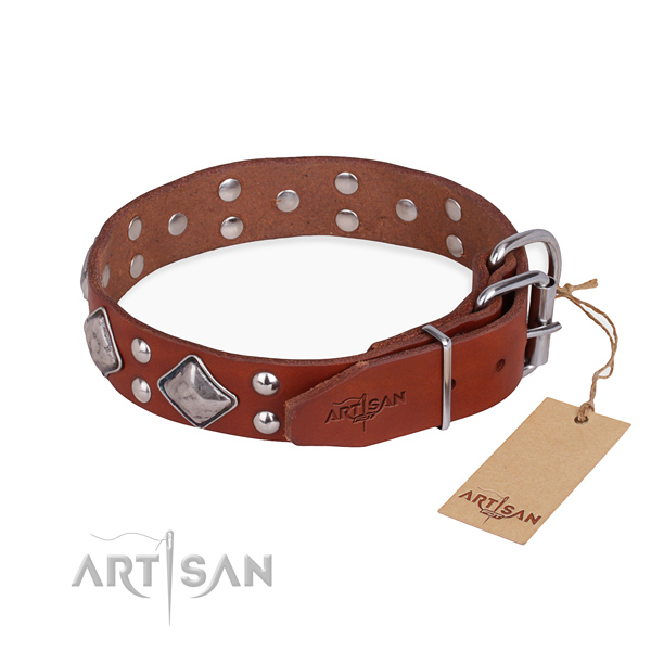 Leather dog collar with inimitable rust resistant adornments