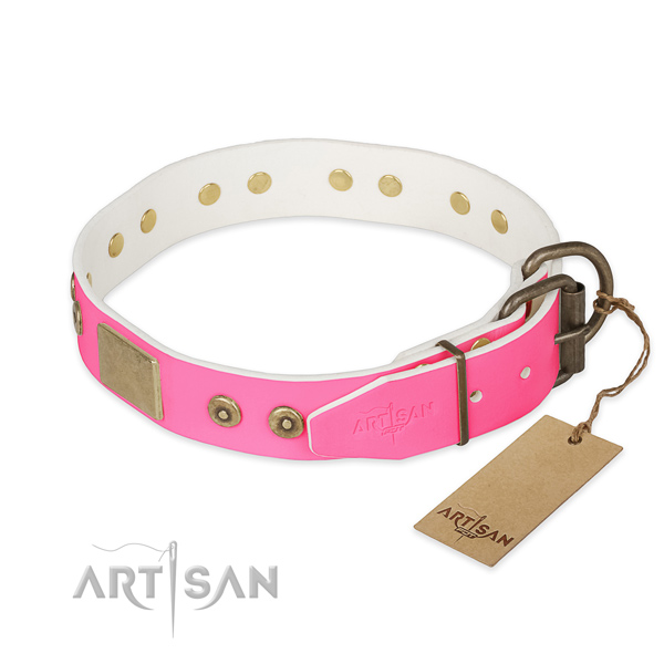Rust resistant D-ring on daily use dog collar