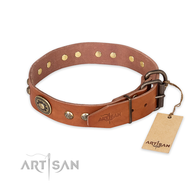 Corrosion proof traditional buckle on full grain genuine leather collar for daily walking your canine