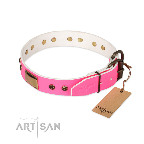 Reliable decorations on full grain genuine leather dog collar for your canine