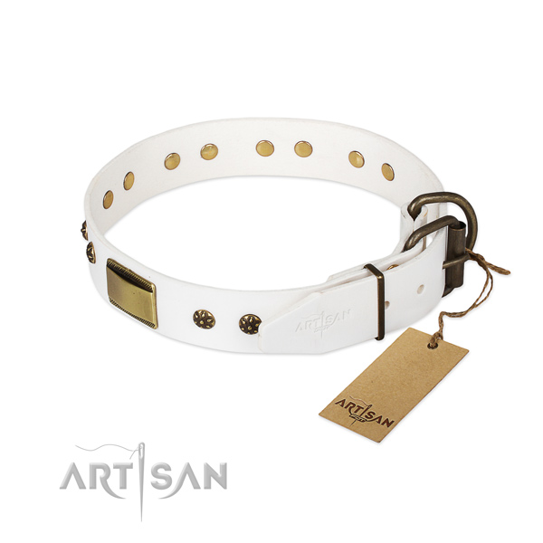 Leather dog collar with rust-proof hardware and studs
