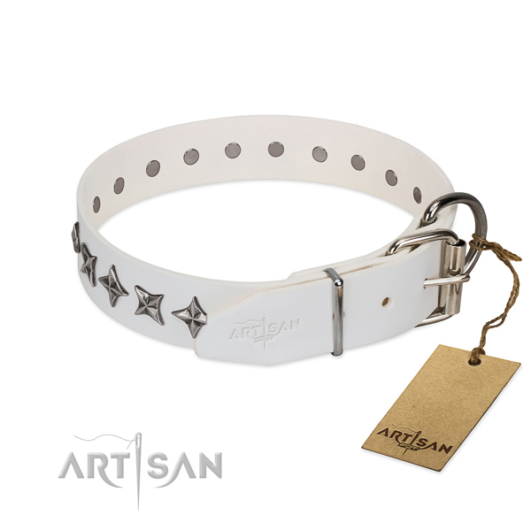 Everyday walking embellished dog collar of strong full grain leather