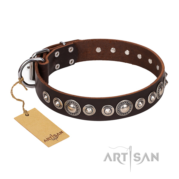 Full grain natural leather dog collar made of high quality material with corrosion proof studs