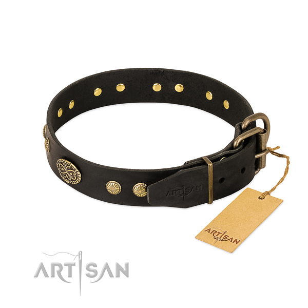 Rust resistant buckle on full grain genuine leather dog collar for your four-legged friend