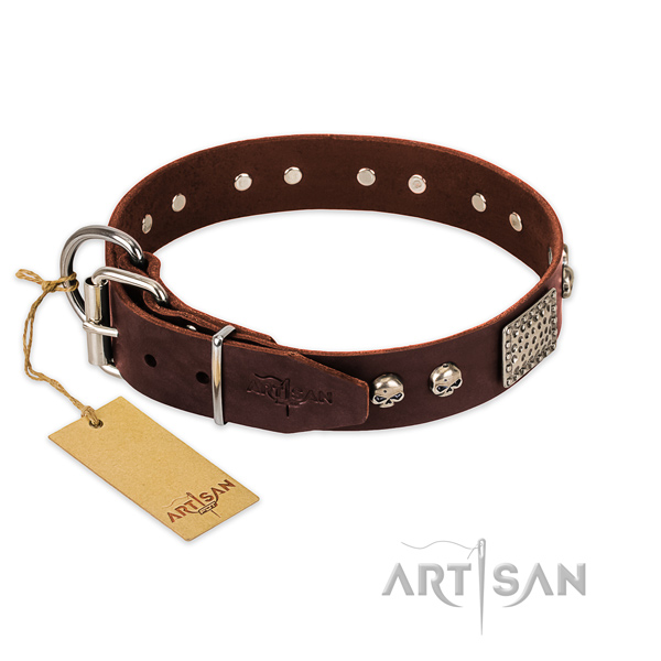 Rust-proof traditional buckle on everyday walking dog collar