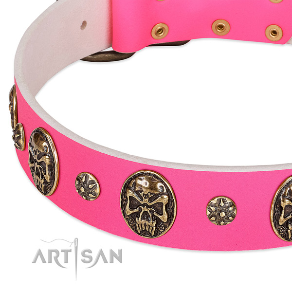 Exceptional dog collar made for your impressive dog