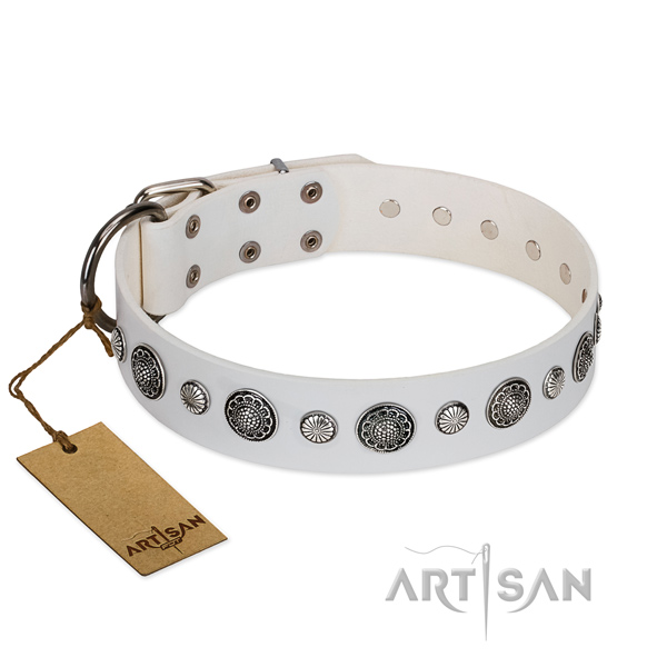 Durable Full grain natural leather dog collar with corrosion proof fittings