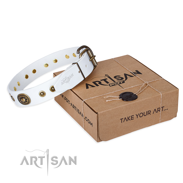 Natural genuine leather dog collar made of soft to touch material with durable traditional buckle