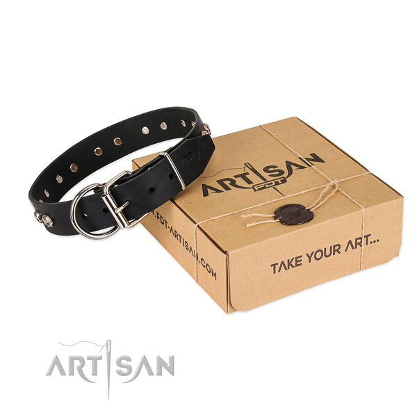 Rust-proof traditional buckle on dog collar for everyday use