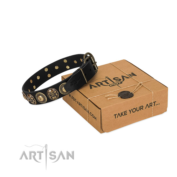 Reliable fittings on dog collar for stylish walking