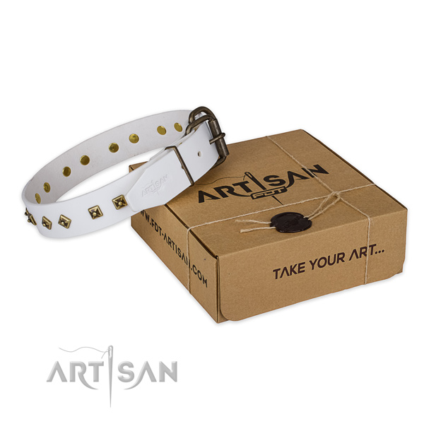 Corrosion proof hardware on genuine leather dog collar for easy wearing