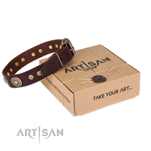 Strong fittings on natural leather dog collar for everyday walking