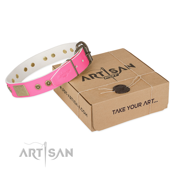 Rust-proof D-ring on dog collar for basic training