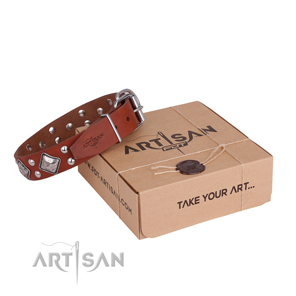 Daily use dog collar with Inimitable rust-proof adornments